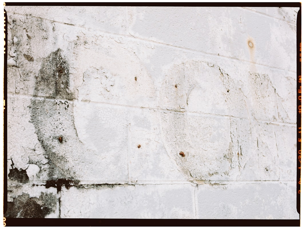 Sewage Cleanup service in Southfield, MI